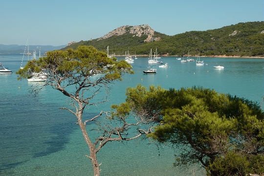 Naturreservat Port-Cros in der Abteilung Var